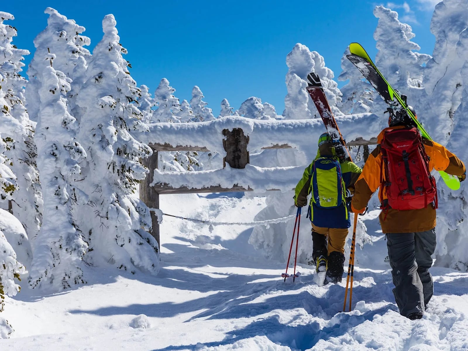 Shiga Kogen  ski resort, Japan