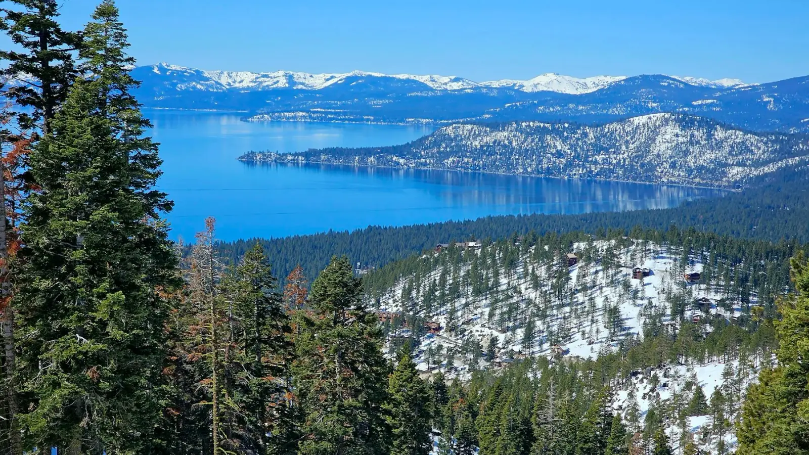 Lake Tahoe seen from a snowy, forested ski slope